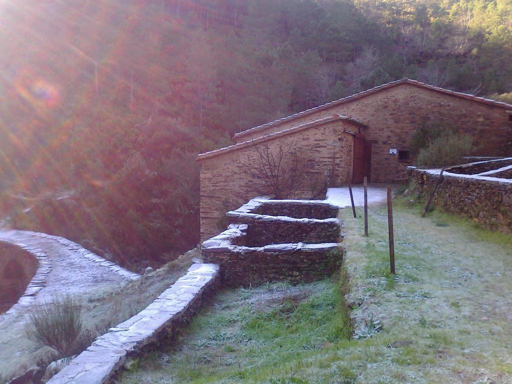 Landhaus Prunus Avium Cambron
