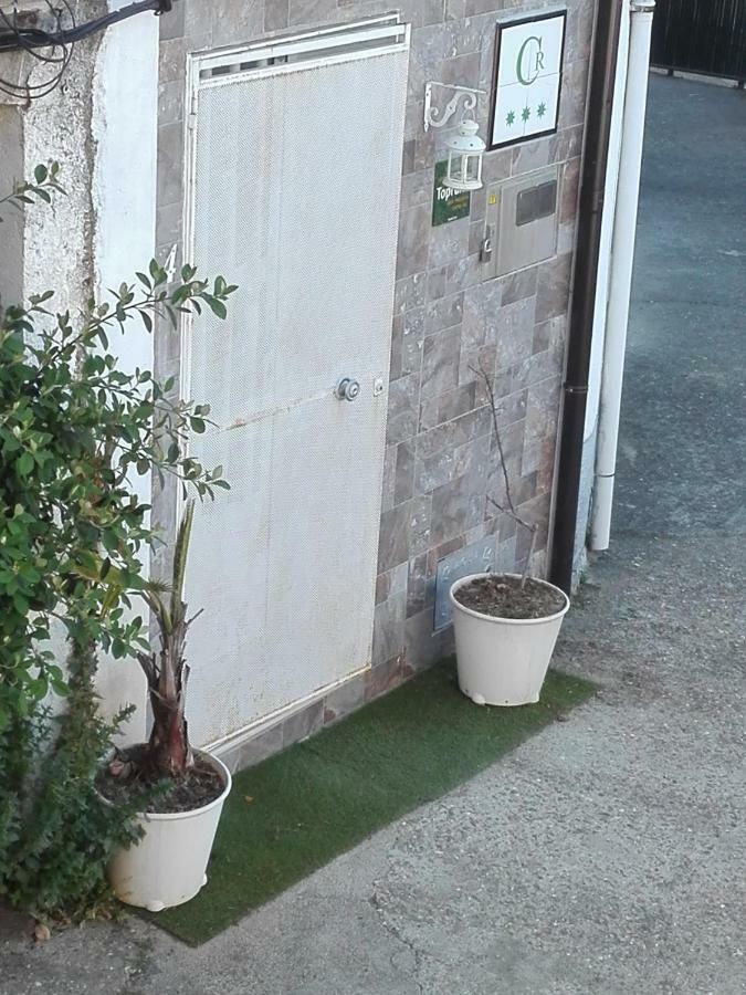 Prunus Avium Landhaus *